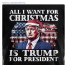 트럼프 대통령 [크리스마스에 원하는 것은 트럼프가 대통령이 되는 것 뿐이다.] ! 드디어 미군의 군사 행동이 시작됩니다! 이미지