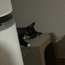 베베랑스 | 03. 이 정도면 아들이 확실해요 (9월부터 10월까지)