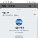 스카이네비 이미지