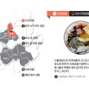 전국 이색 김밥 지도 이미지