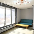 청벽거북 이미지