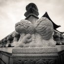 녹산사슴 이미지