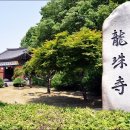 수원-1821 Daum카페
