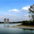 영남대학교 이미지