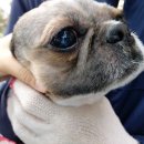 GS 25 양덕대림점 이미지