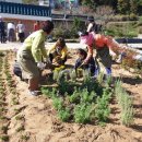 힐링가든 이미지