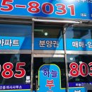 대성전기조명 이미지