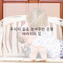 온도라이프 이미지