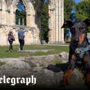 MY DOG GROOMING 이미지