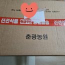 농라(상주곶감소녀)