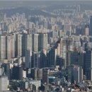 양재동부동산중개 이미지