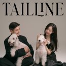 스튜디오테일 티스토리