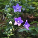 선호농장 이미지