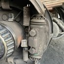 신호카포스 이미지