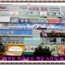 캐슬태권도체육관 이미지