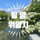 위양지원카페