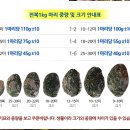 성현물산