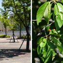 대청(계동)공원 이미지