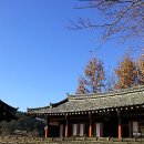 창녕 팔락정 이미지