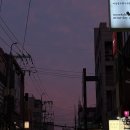 내돈내산 모각할 하기 좋은 홍대카페 합정역카페 비하인드