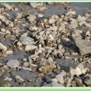 해평수산 이미지