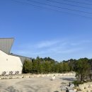 용인 에버랜드 근처 숙소 the 145 내돈내산 찐후기 /w 마켓컬리 | 용인 펜션