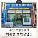부산 보험설계사 기승쌤 보험상담소 내돈내산 후기