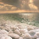 아발론(AVALON) 이미지