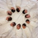 풍성이불집 | 광명제일산후조리원 본관후기 조리원고르는 꿀팁!