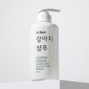 샴푸하는 강아지 이미지