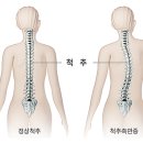 더우아 이미지