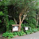 신흥2리 이미지