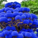 통증 중 최고는 통풍 이미지