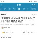 코끼리 장례, 내 새끼 얼굴이 하늘 보게…“이런 매장은 처음” 이미지