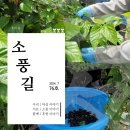 백운면 2200 | 소풍길 76호