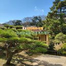 힐링 다도여행 | 다카마쓰 여행 가볼만한곳 아침 산책 필수 코스 리쓰린공원 다도체험 키쿠게츠테이 요금 후기