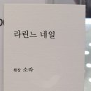 린느네일