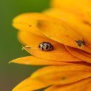 시간,공간-확산 이미지