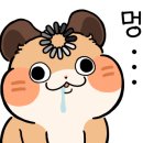 더락이스케이프 하단점