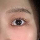 앨브로우 이미지