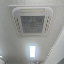 에브리캣 이미지