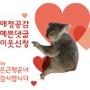 타닭 이미지