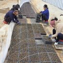 갈렙농장 이미지