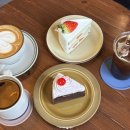 키라라 - 부산진구 | 제주도 케이크 맛집 카페추천 : 글루텐프리 디저트맛집 제주 키라라 / 내돈내산 후기