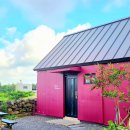 알지니포레스트 이미지