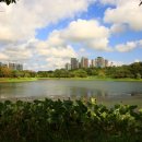 은파호수공원 이미지