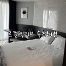 PET WAVE | 속초 해변 바로 앞 위치까지 완벽했던 르컬렉티브 속초해변점 후기