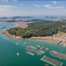 사랑애견펜션 이미지