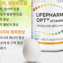 팜 라이프 이미지