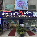 부산자갈치왕곰장어